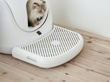 株式会社オーエフティーのプレスリリース画像1