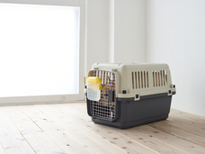 株式会社オーエフティーのプレスリリース画像3