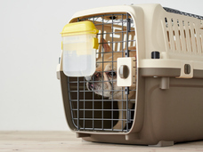 株式会社オーエフティーのプレスリリース画像4