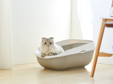 株式会社オーエフティーのプレスリリース画像1