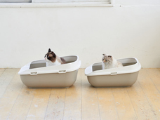 株式会社オーエフティーのプレスリリース画像4