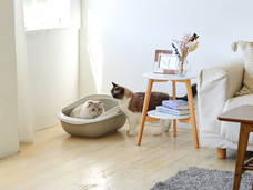 株式会社オーエフティーのプレスリリース画像7