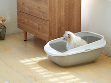 株式会社オーエフティーのプレスリリース画像6