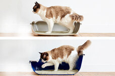 株式会社オーエフティーのプレスリリース画像2