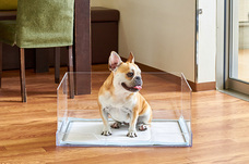 株式会社オーエフティーのプレスリリース画像1