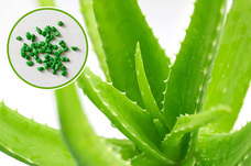 株式会社オーエフティーのプレスリリース画像4