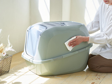 株式会社オーエフティーのプレスリリース画像2