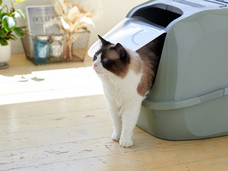 株式会社オーエフティーのプレスリリース画像3