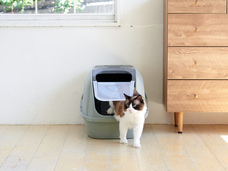 株式会社オーエフティーのプレスリリース画像4