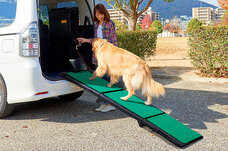 株式会社オーエフティーのプレスリリース画像1