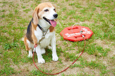 株式会社オーエフティーのプレスリリース画像3