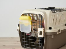 株式会社オーエフティーのプレスリリース画像2