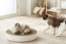 株式会社オーエフティーのプレスリリース画像3