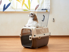 株式会社オーエフティーのプレスリリース画像1