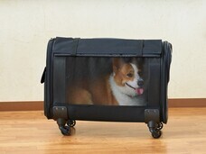 株式会社オーエフティーのプレスリリース画像4