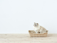 株式会社オーエフティーのプレスリリース画像1