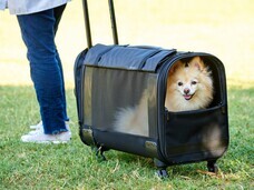 株式会社オーエフティーのプレスリリース画像3