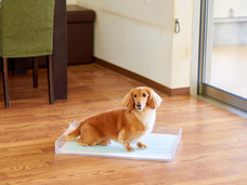 株式会社オーエフティーのプレスリリース画像3