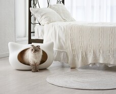 株式会社オーエフティーのプレスリリース画像1