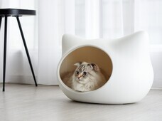 株式会社オーエフティーのプレスリリース画像2