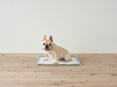 株式会社オーエフティーのプレスリリース画像1