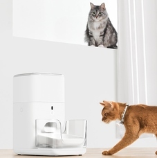 株式会社オーエフティーのプレスリリース画像3