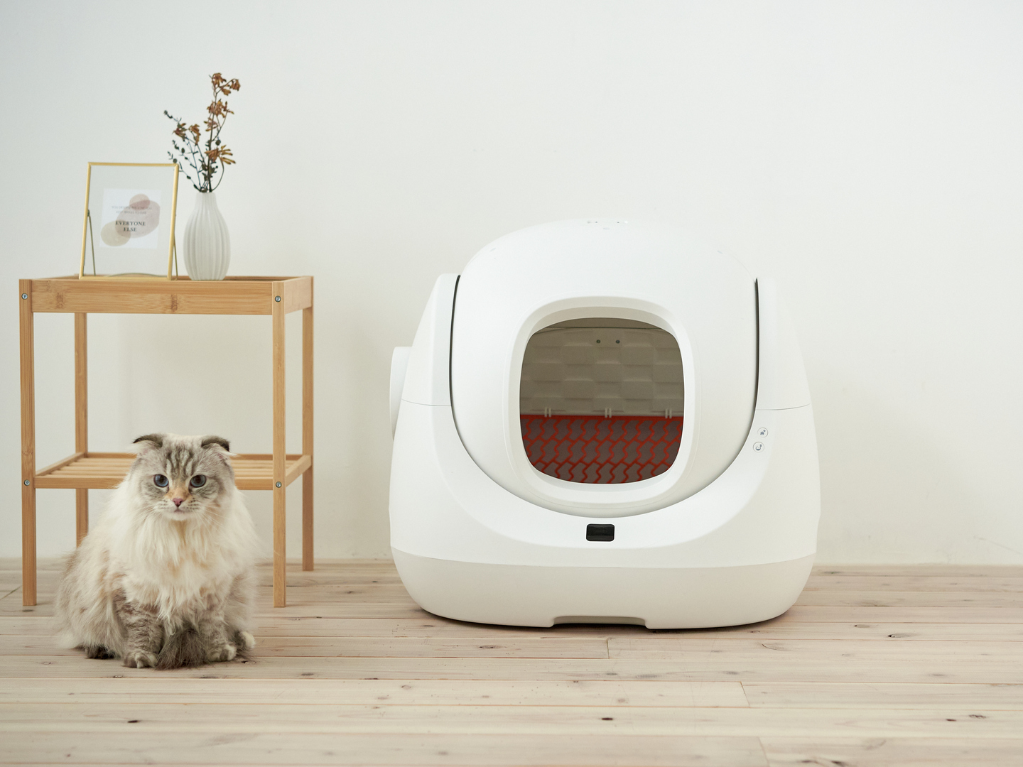 ハロウィン特別企画♪自動猫トイレCATLINKシリーズをセール価格で