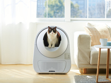 株式会社オーエフティーのプレスリリース画像2