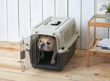 株式会社オーエフティーのプレスリリース画像6