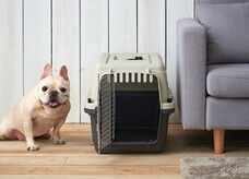 株式会社オーエフティーのプレスリリース画像4