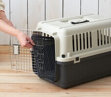 株式会社オーエフティーのプレスリリース画像2