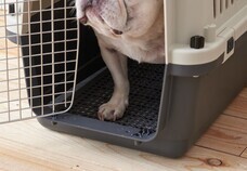 株式会社オーエフティーのプレスリリース画像3