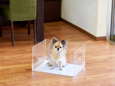 株式会社オーエフティーのプレスリリース画像5