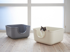 株式会社オーエフティーのプレスリリース画像1