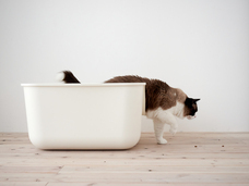 株式会社オーエフティーのプレスリリース画像3