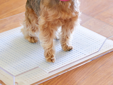 株式会社オーエフティーのプレスリリース画像4