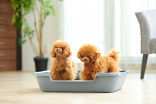 株式会社オーエフティーのプレスリリース画像5