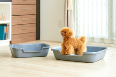 株式会社オーエフティーのプレスリリース画像3