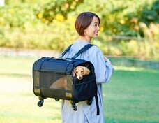 株式会社オーエフティーのプレスリリース画像2