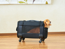 株式会社オーエフティーのプレスリリース画像1