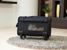 株式会社オーエフティーのプレスリリース画像3