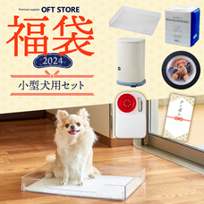 株式会社オーエフティーのプレスリリース画像5