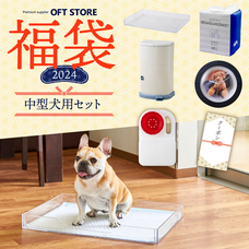 株式会社オーエフティーのプレスリリース画像6