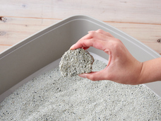 株式会社オーエフティーのプレスリリース画像2