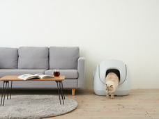 株式会社オーエフティーのプレスリリース画像2