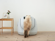 株式会社オーエフティーのプレスリリース画像3