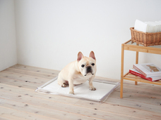 株式会社オーエフティーのプレスリリース画像2