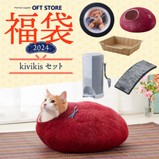 株式会社オーエフティーのプレスリリース画像6