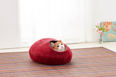 株式会社オーエフティーのプレスリリース画像5