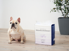 株式会社オーエフティーのプレスリリース画像4